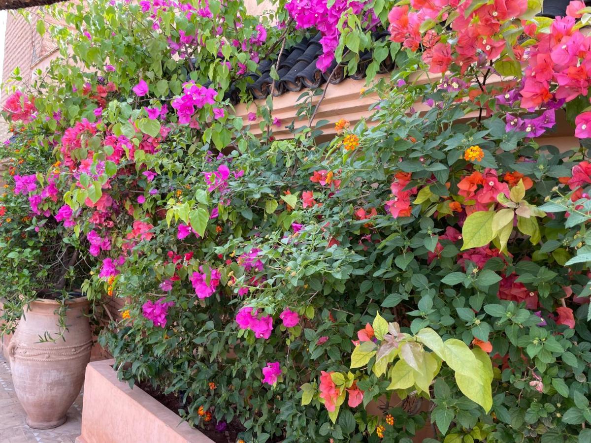 Riad Zouhour Marrakesh Luaran gambar