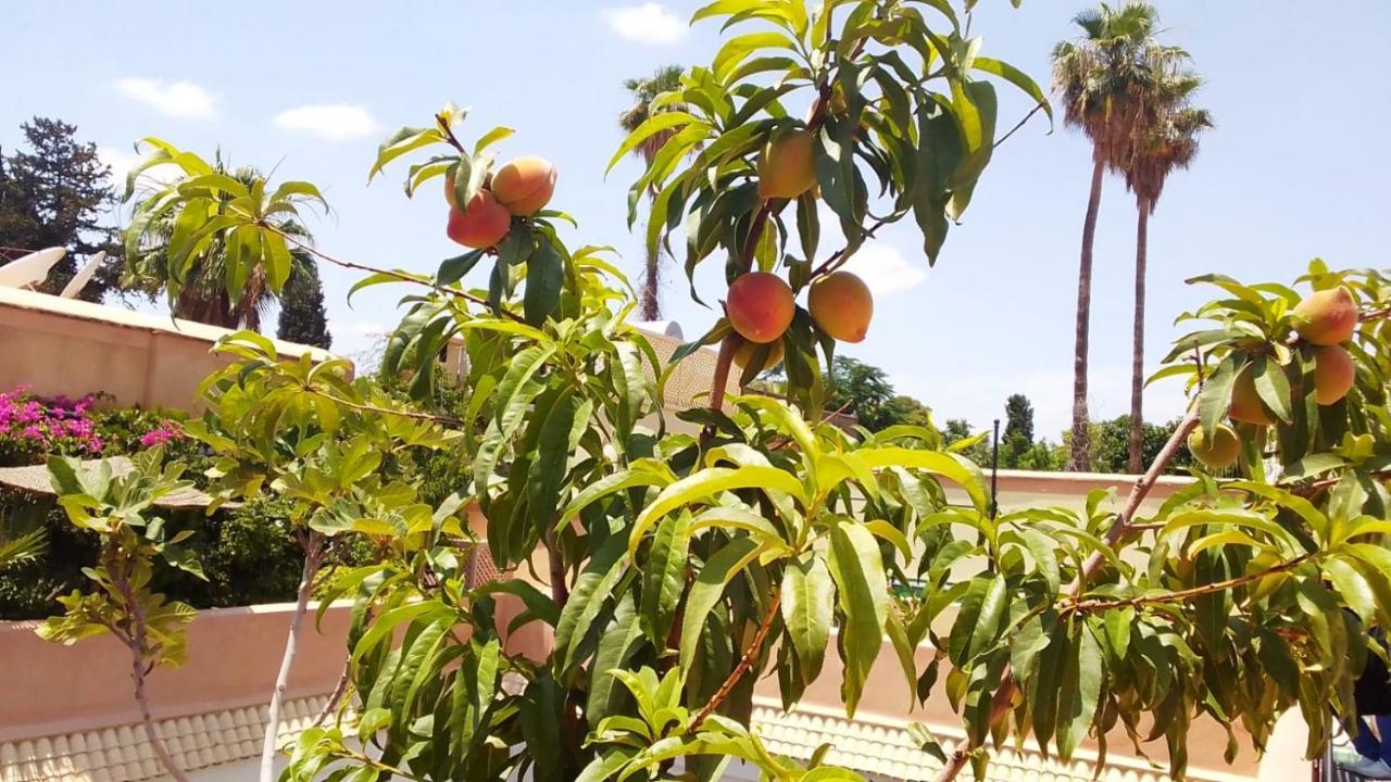 Riad Zouhour Marrakesh Luaran gambar