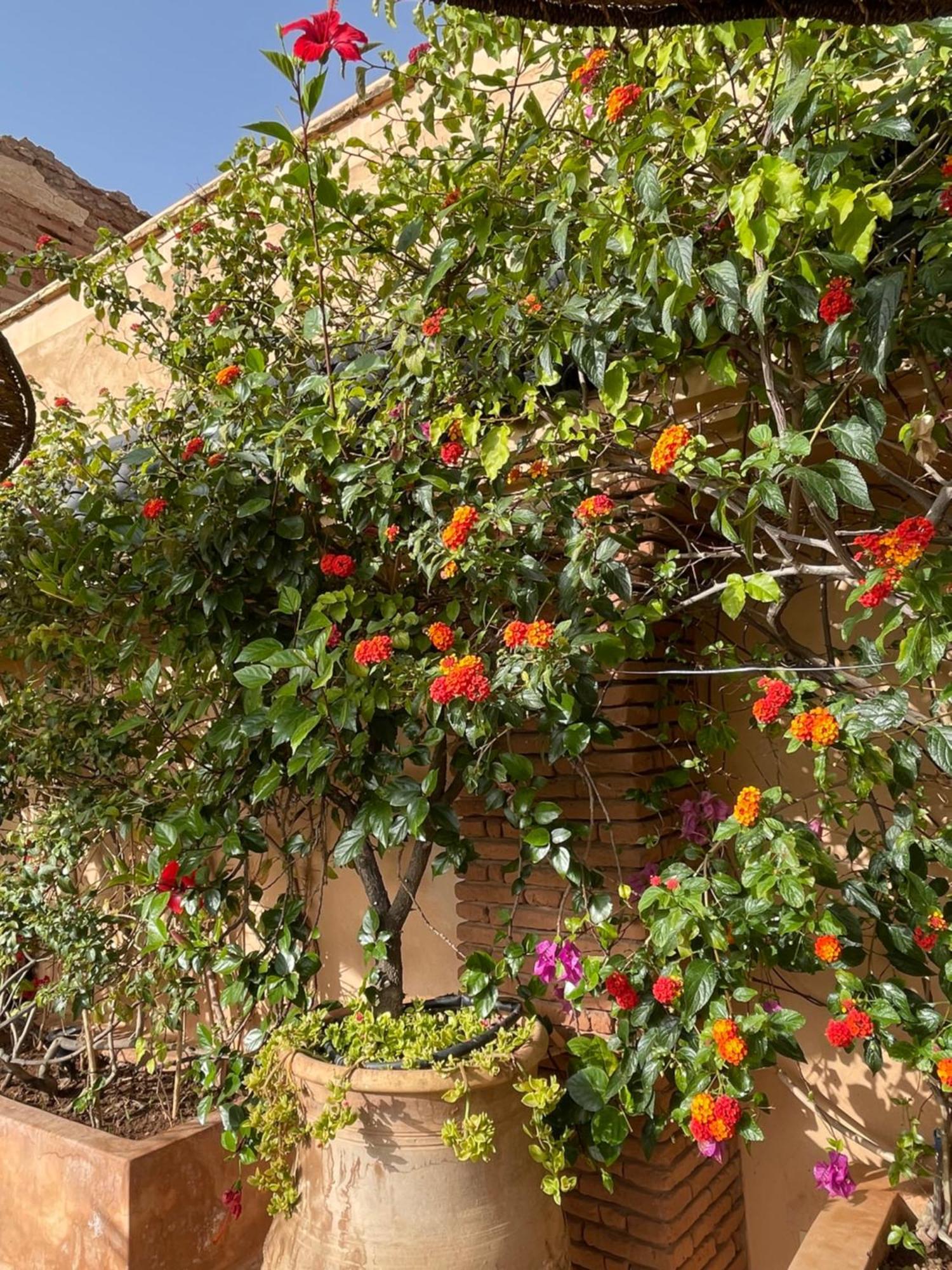Riad Zouhour Marrakesh Luaran gambar
